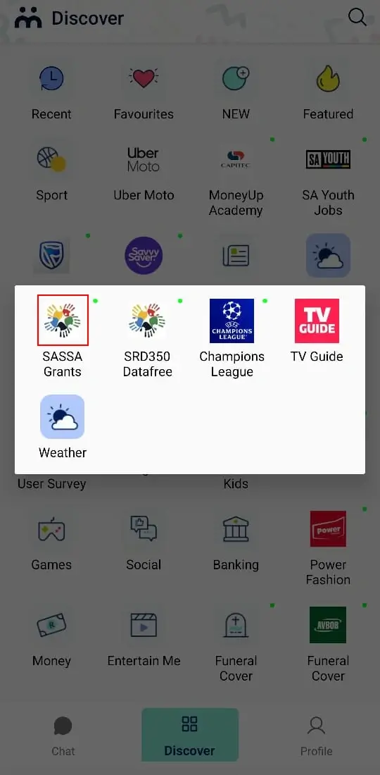 Official SASSA Status Check Online SRD Portal